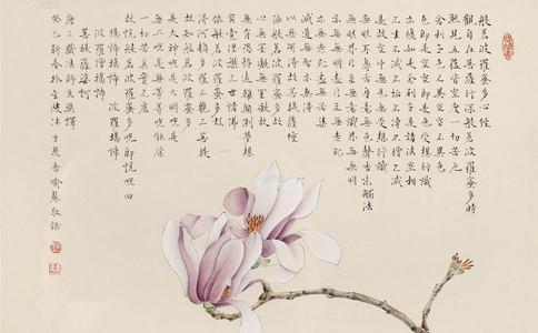 我每天晚上一定念《心经》、施食 