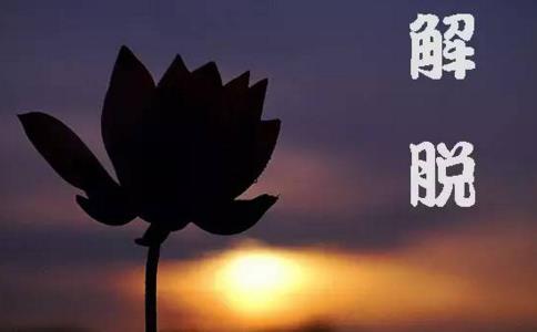 传喜法师答：解脱主要靠什么？ 
