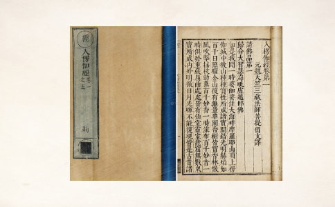 《大乘入楞伽经》讲要 
