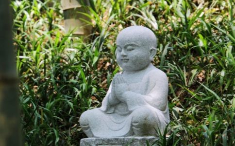 想要半年读完《华严经》，怎样接读才如法？ 