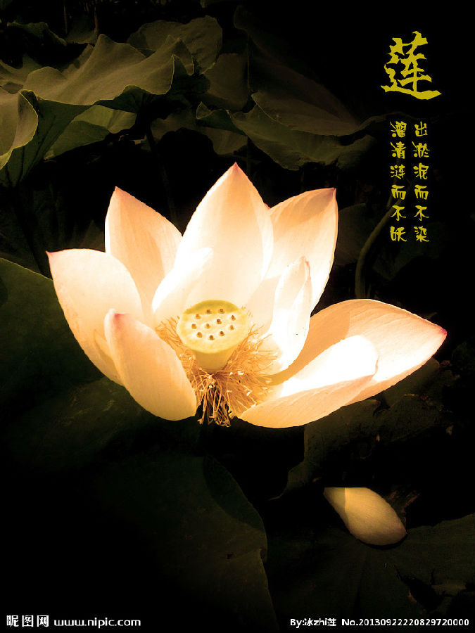 昌臻法师：人生不是偶然，因果连通三世 