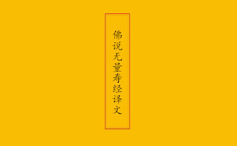 佛说无量寿经译文 