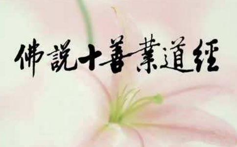 十善业道经注音【含念诵视频】 