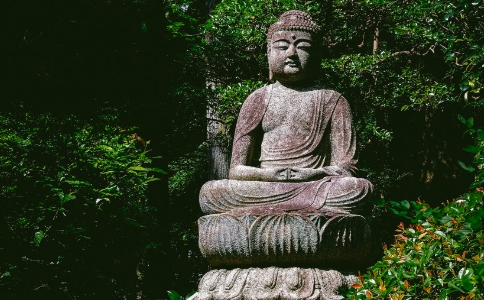 如何依教修学？《佛遗教经》这样说（视频） 