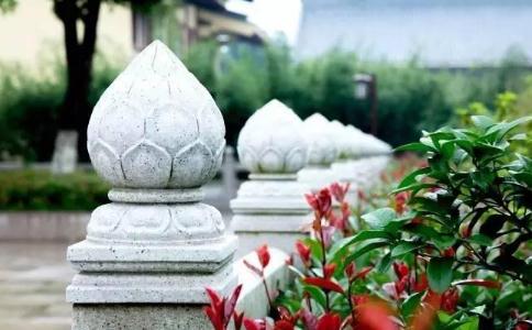 发愿吃素难改业习偷吃腥 念佛化解大肠癌所受苦难