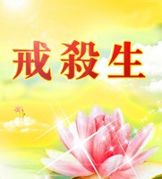 世界上最厉害的果报，就是杀生