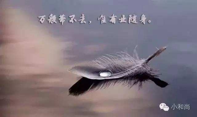 这位有钱人的“孽障”儿子真“孝顺”！（宣化上人）