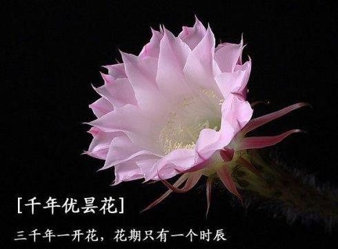 每天清晨起来问自己：“你是人吗？”