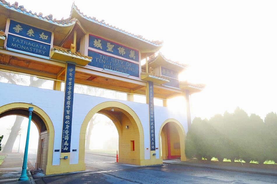 迴光返照，找到自己真正痛苦的来源