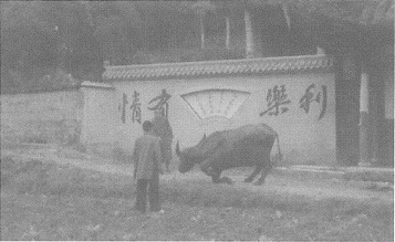 从最聪明到最笨拙的生物都能自念佛得到好处