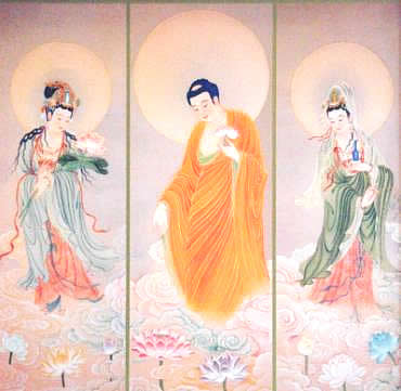 任凭灾难来磨，她念佛没有退却丨唐母往生西方记