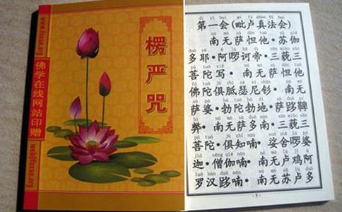 只持诵楞严咒，不诵十小咒行吗？ 
