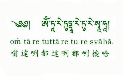 坚持念诵绿度母心咒的神奇感应 