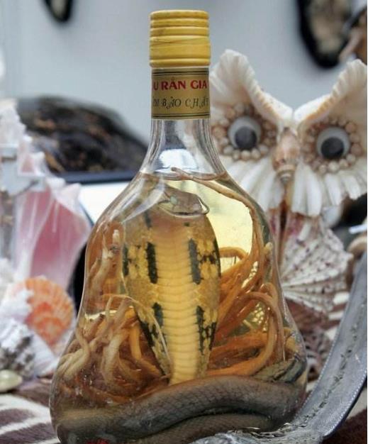 杀蛇果报，杀害眼镜蛇泡酒遭惨恶报