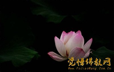 《维摩诘经》经题浅释 