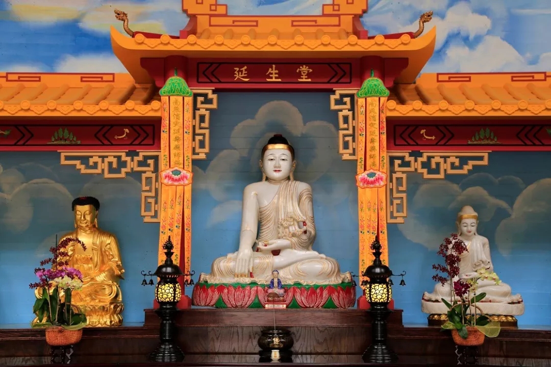 【恭迎药师佛圣诞】谁若能念消灾延寿药师佛，他就令你灾消病散，罪灭福生