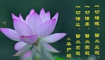 5个现世因果报应故事
