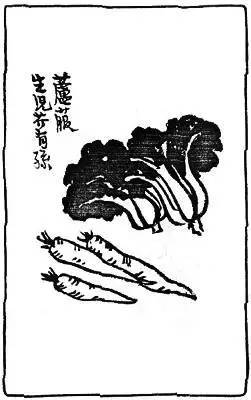 芦菔有子芥有孙