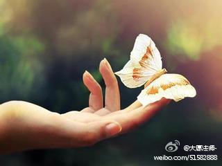 色声香味触法六尘没有好与坏，好与坏是大脑思维给它贴上去的标签，是加上去的妄尘，所以说念头不是问题，对念头的执著才使念头变成问题，所以你不要去排遣念头。