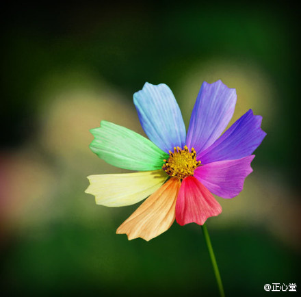 正心堂