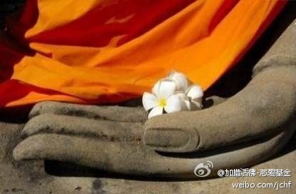 走过的路长了，遇见的人多了，经历的事杂了。不经意间我们会发现，人生最曼妙的风景是内心的淡定与从容，头脑的睿智与清醒。人生最奢侈的拥有是一颗不老的童心，一个生生不息的信念，一个健康的身体，一个永远牵手的爱人，一个自由的心态，一份喜欢的工作，一份安稳的睡眠，一份享受生活的美丽心情。