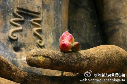 海涛法师菩提心语