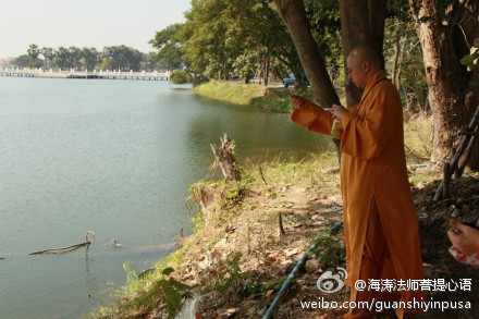 海涛法师菩提心语