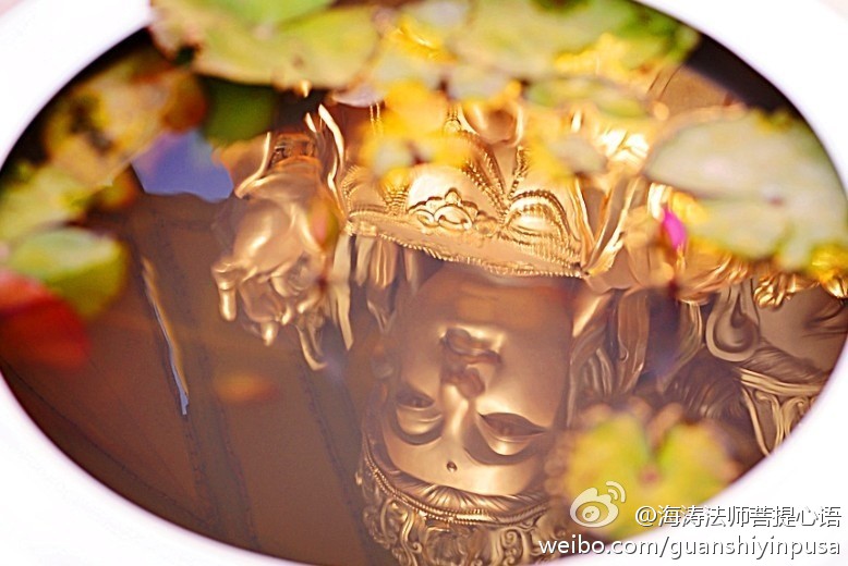 海涛法师菩提心语
