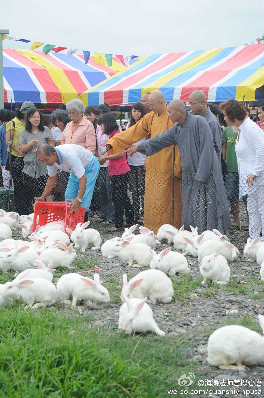 海涛法师菩提心语