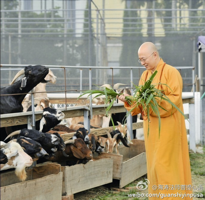 海涛法师菩提心语