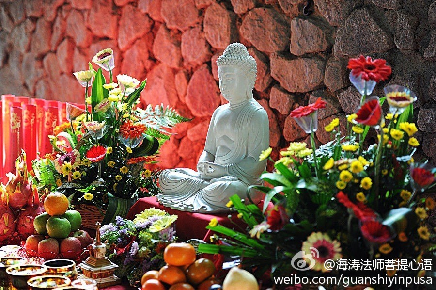 海涛法师菩提心语