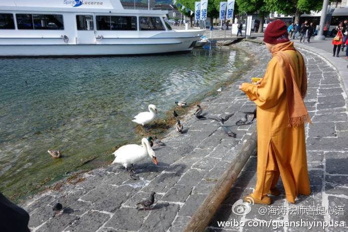 海涛法师菩提心语
