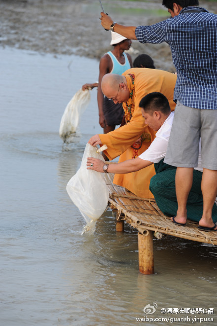 海涛法师慈悲心语