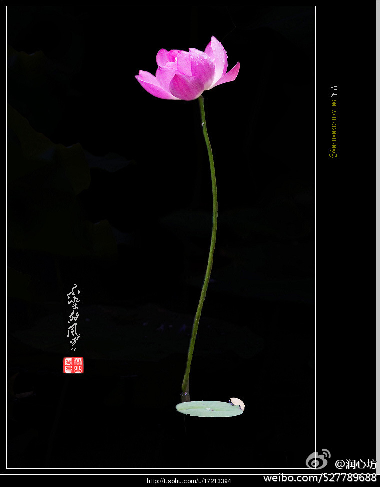 润心坊