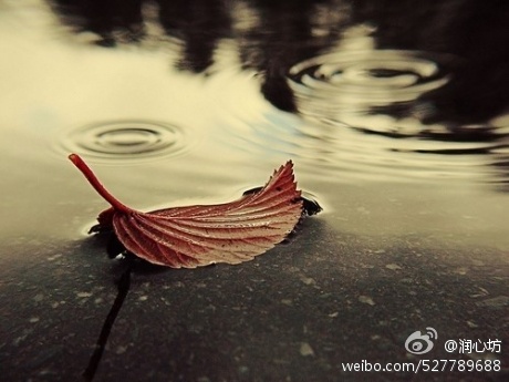 润心坊