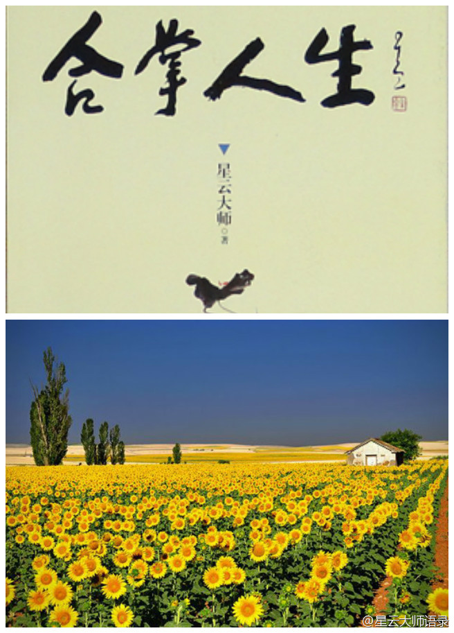 看山、看水、看花、看草、看人、看事，看尽人间万象，却很少有人想到要回过头来关“照