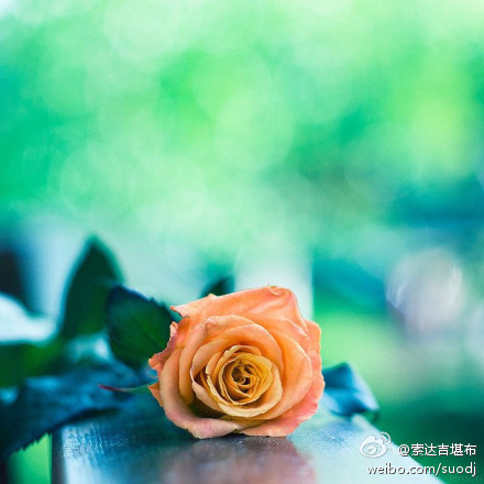 人要有一颗感恩的心，而不是索取的心。人要知恩图报，而不是过河拆桥。