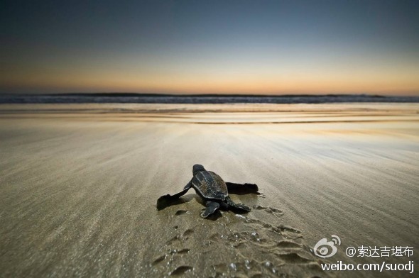 常有人说：“这个说起来容易，做起来难！”话虽如此，但你从不试着去做的话，那永远都