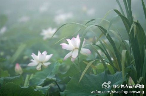 少林寺