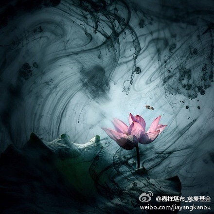 微博精选