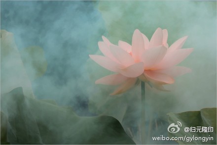 近来高温不断，不少人的脾气也如温度计一样节节走高。高温天气下当多给自己消消火，万事退一步，才能海阔天空，凡事忍一忍，方能化干戈为玉帛。心也要防中暑！