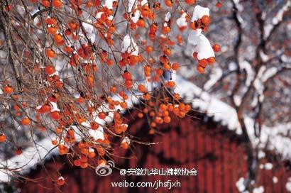 安徽九华山佛教协会