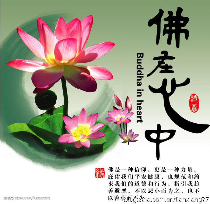 传喜法师法语