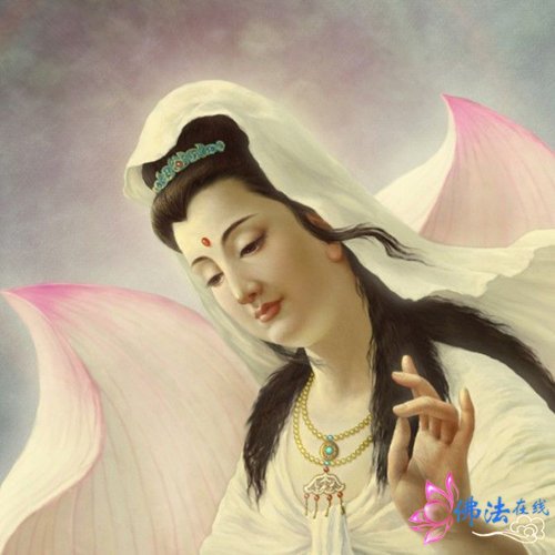 传喜法师法语