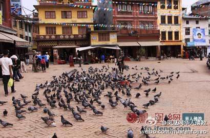 凤凰网华人佛教