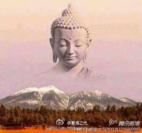 人的内心要和谐，必须从诸恶莫做、众善奉行做起；家庭要和谐，必须从慈悲孝敬、友爱尊重做起；社会要和谐，必须从感恩、包容、分享、结缘做起。 ——净慧老和尚