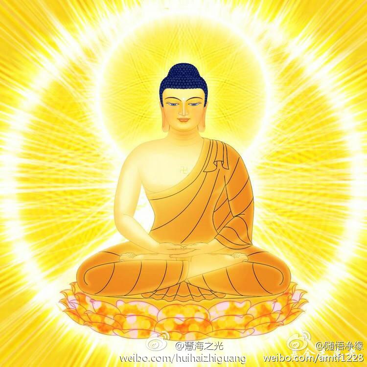 慧海之光