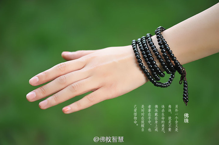佛教智慧