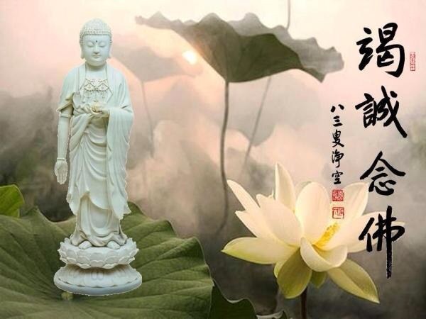 净空法师法语录