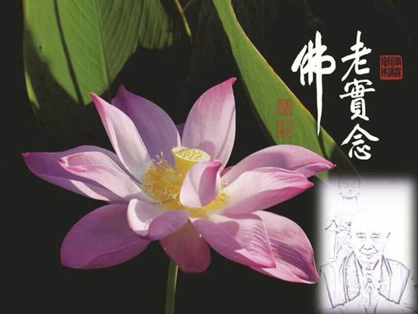 净空法师法语录